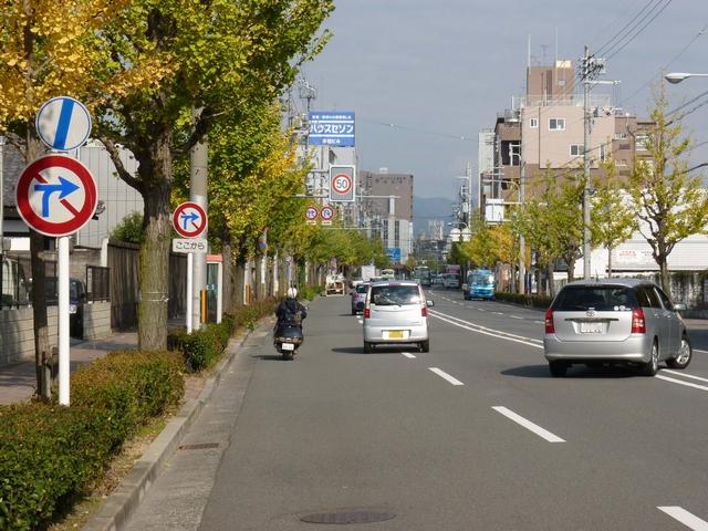 道路標識等 京都府 車両横断禁止